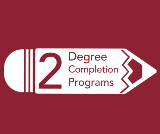 ccsj-numbers-degree-completion'