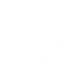 bmft-flexibility bmft-flexibility