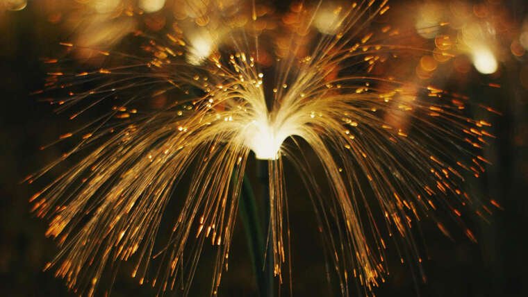 2025 Senior Farewell Toast